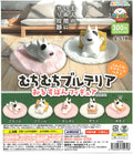 Muchi Muchi Bull Terrier Orusuba